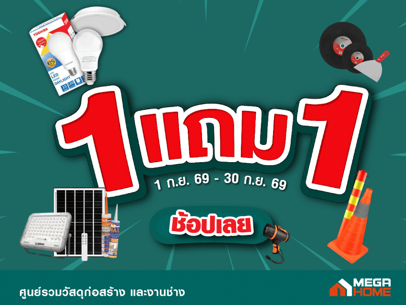สินค้า 1 แถม 1